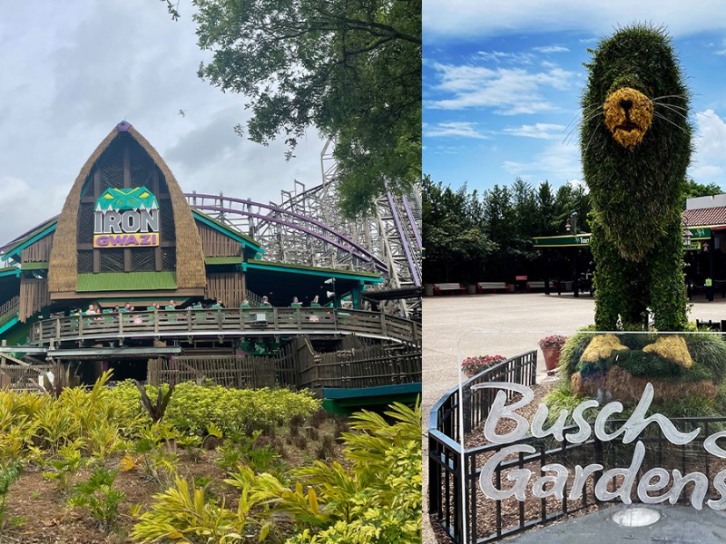 Bachelor Weekend at&nbsp;BGT